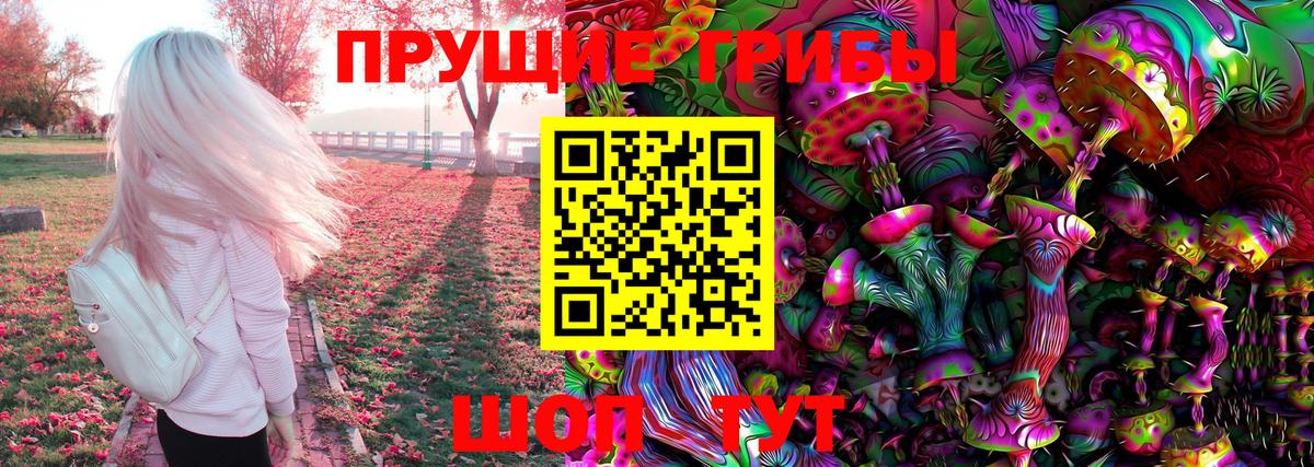 Псилоцибиновые грибы GOLDEN TEACHER  купить   Псилоцибиновые грибы ЛСД  Волгодонск  Вход с VPN 