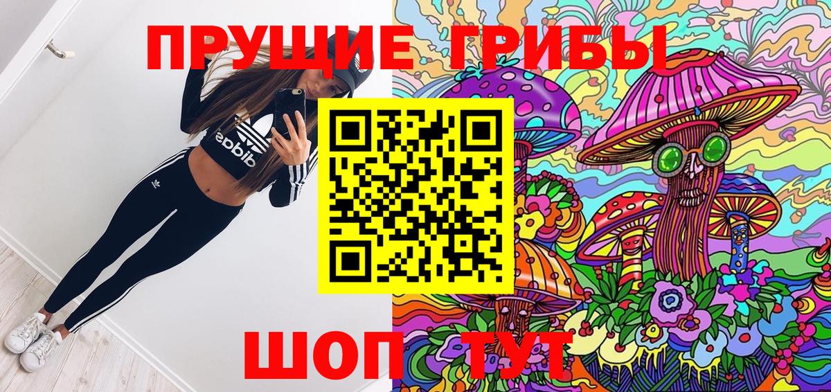 Псилоцибиновые грибы Psilocybe Волгодонск